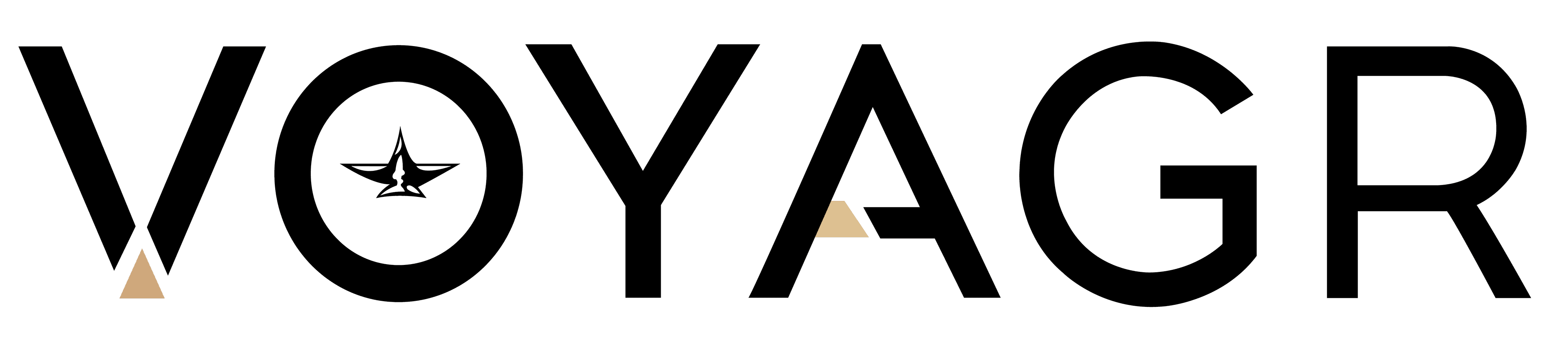 Voyagr Travel logo