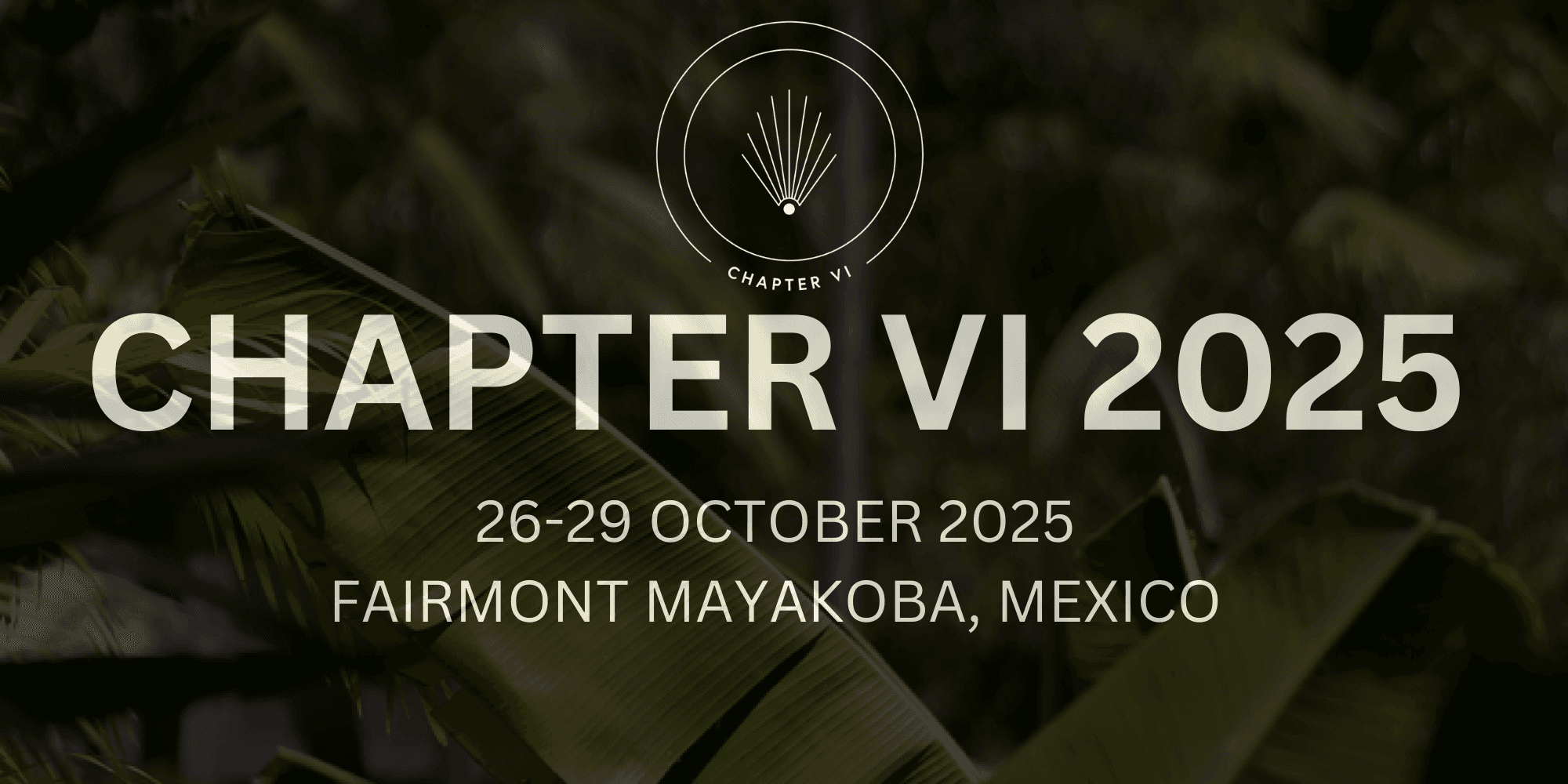 CHAPTER VI - 2025