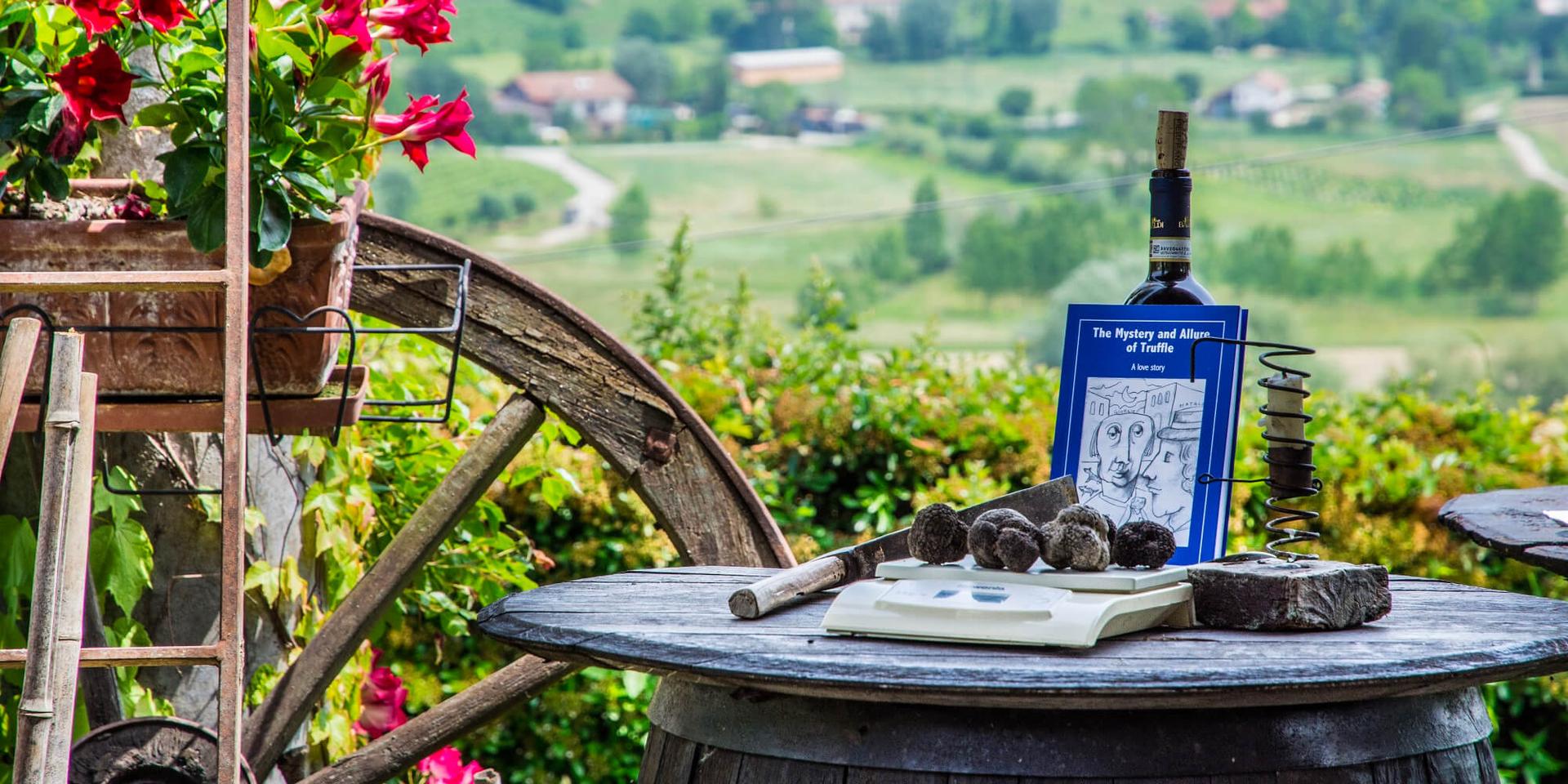 Discover Piemonte Region - Italy header