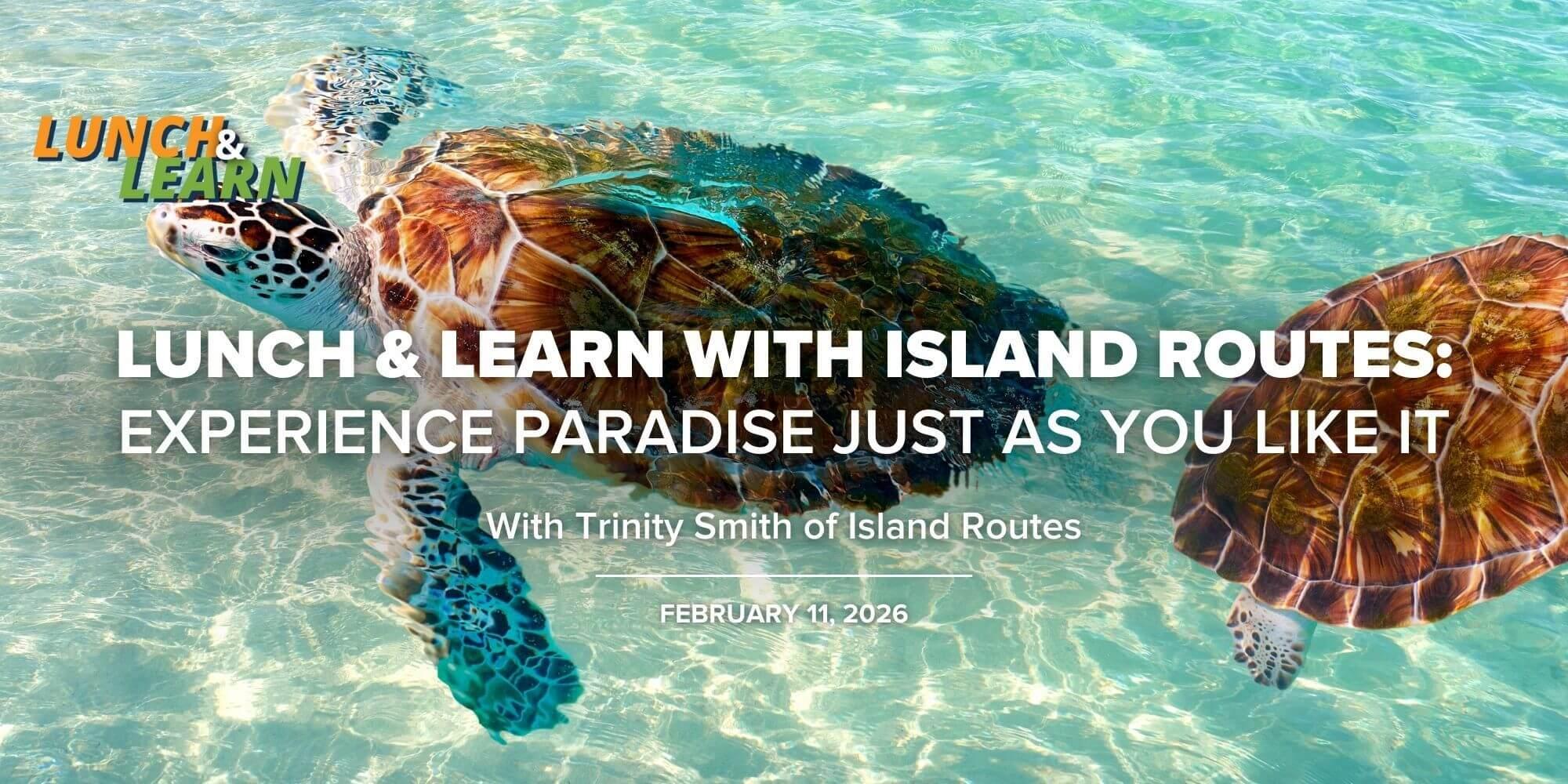Lunch + Learn with Island Routes | Experience Paradise Just As You Like It | February 11, 2026