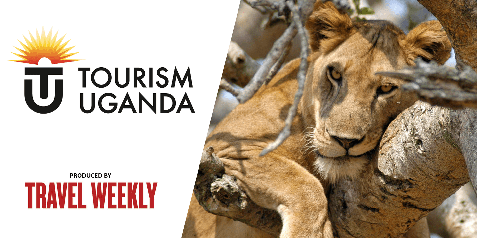 Uganda’s Vast Horizons Await header
