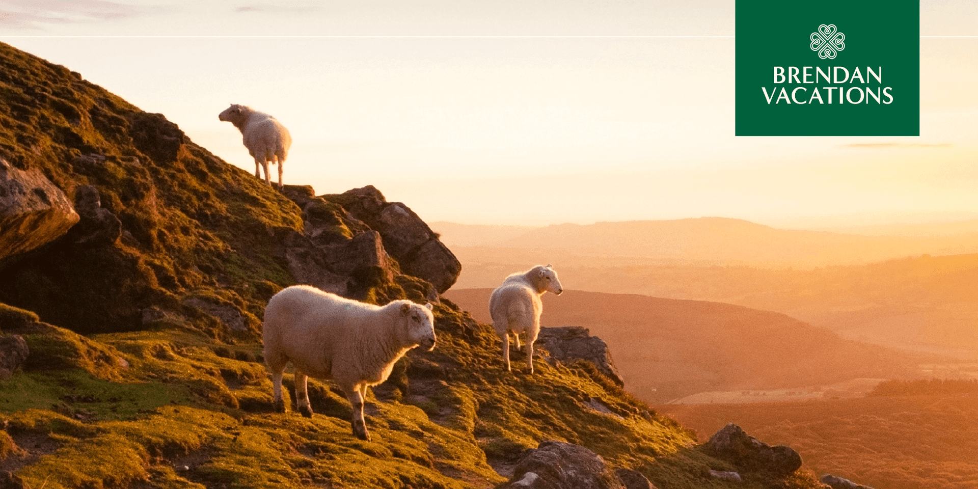 Deep Dive into Luxury Self-Drive trips to Ireland with Brendan Vacations header