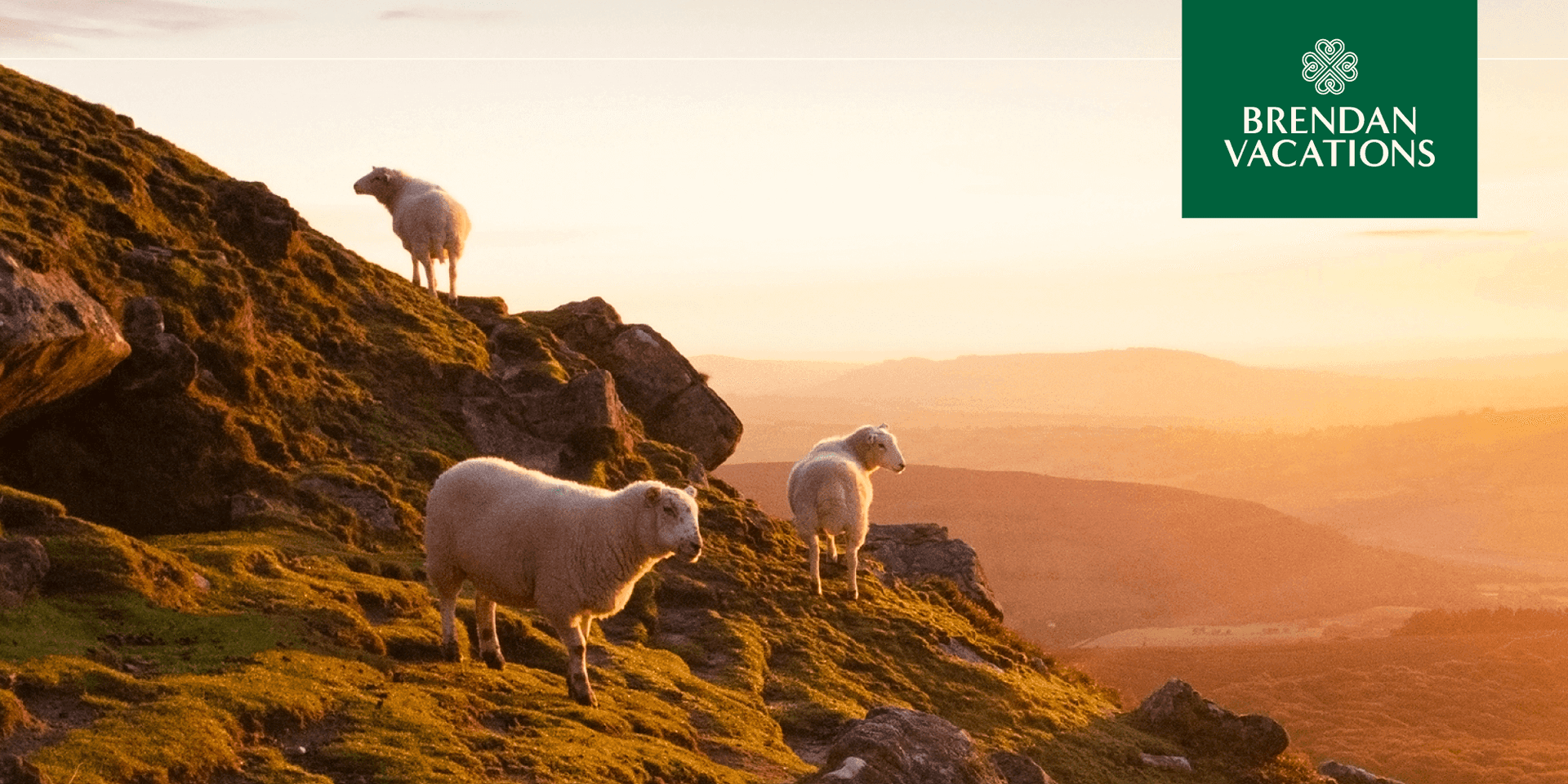 Deep Dive into Self-Drive Trips with Brendan Vacations  header